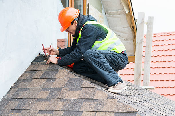 Best Roof Gutter Cleaning  in Dixon, MO